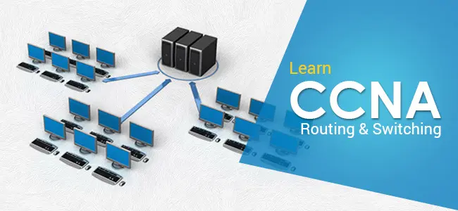 image of CCNA Course Online Training and Certification