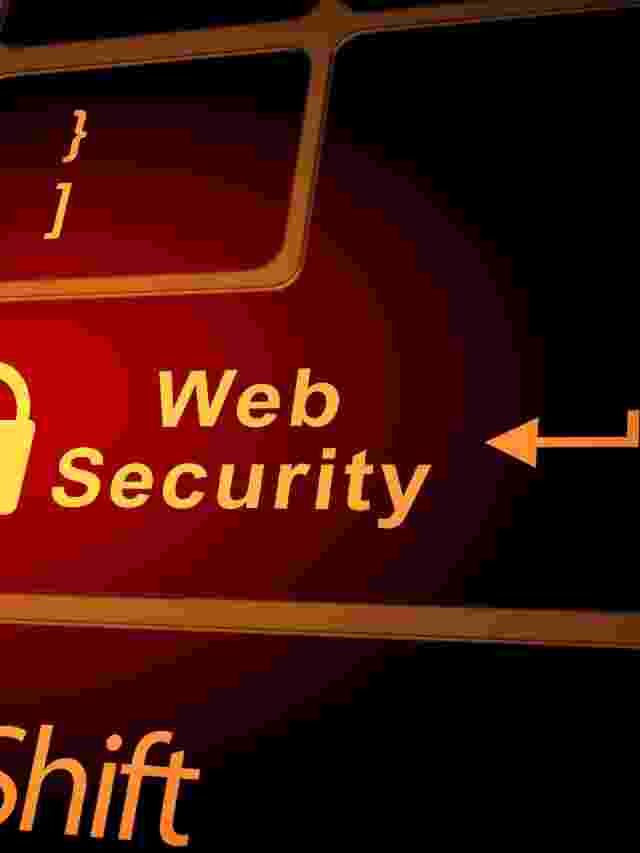 What is the need for Web Security?