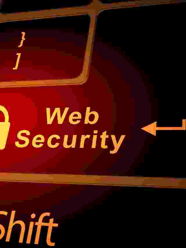 What is the need for Web Security