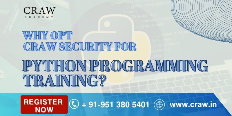 Why Opt for Craw Security for Python Programming?