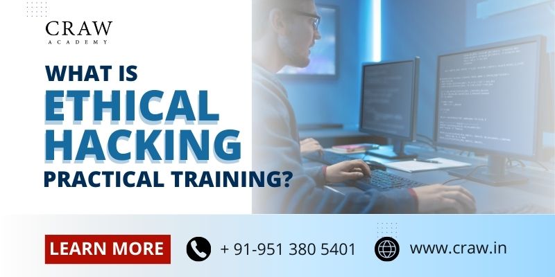 What is Ethical Hacking Practical Training?